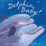 Dolphin Baby, Nicola Davies (Author), Brita Granstrom (Illustrator)